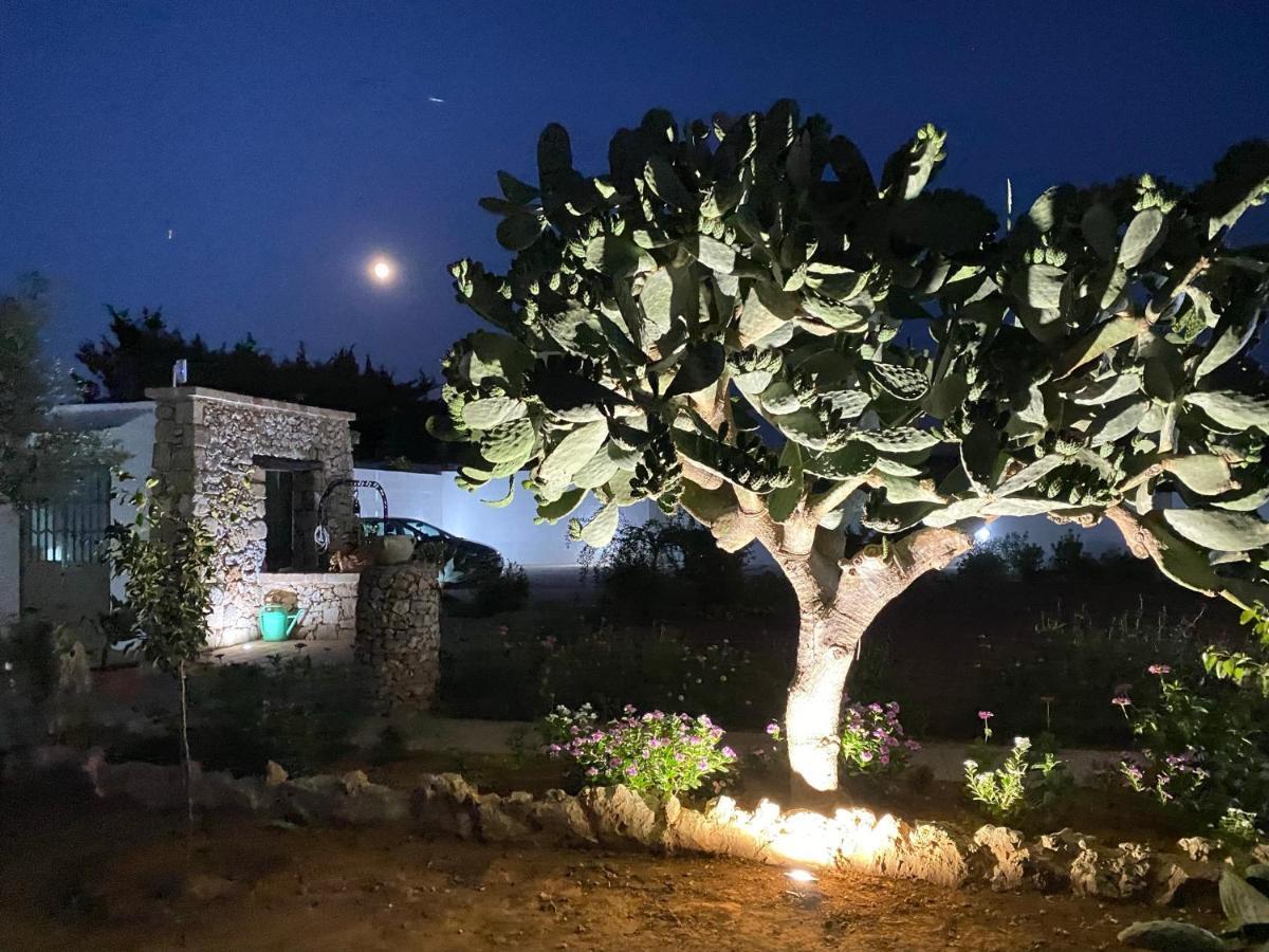 Fellini 3* Gallipoli