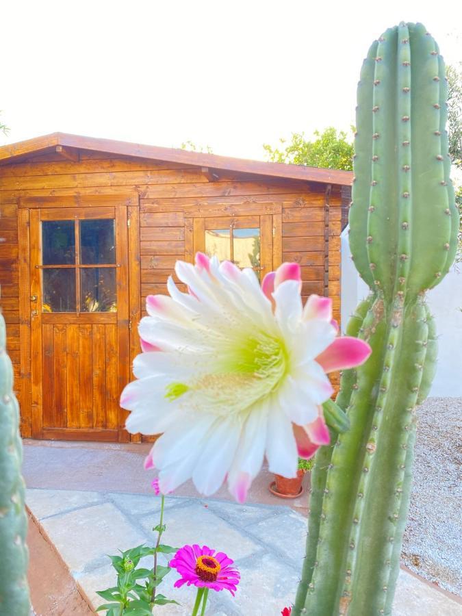 Fellini Bed & Breakfast Gallipoli